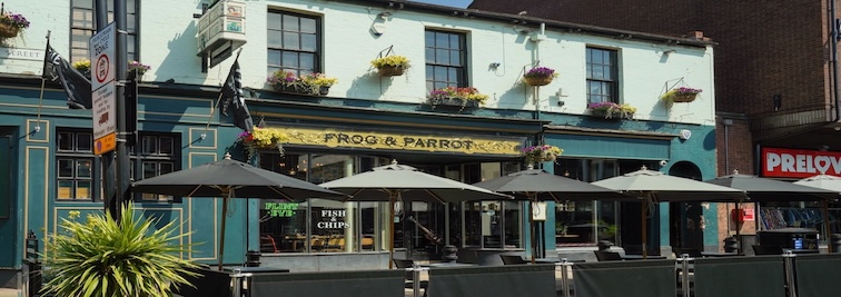 Frog & Parrot in Sheffield